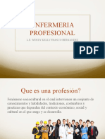 Enfemeria Profesional