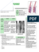 Displasia Broncopulmonar