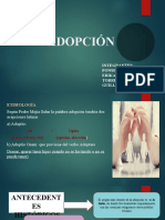 Adopcion Peru