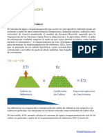 ¿Que Es Le Coeficiente de Cultivo (KC) en Riego - Valores Por Especie