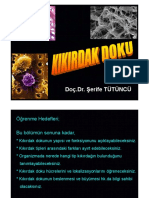 Kıkırdak Doku PDF
