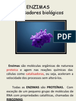 Documento PDF 5