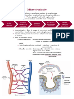 Microcirculação e Sistema Linfático