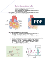 Excitação Rítmica Do Coração