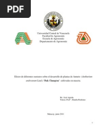 Download Tesis Efecto de Diferentes Sustratos Sobre Desarrollo de Plantas de Anturio Cultivadas en Maceta by Leonardo Araviche SN59633504 doc pdf