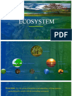 Ecosystem Basics