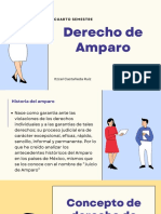 Derecho de Amparo