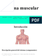 Primeros Auxilios Sistema Muscular