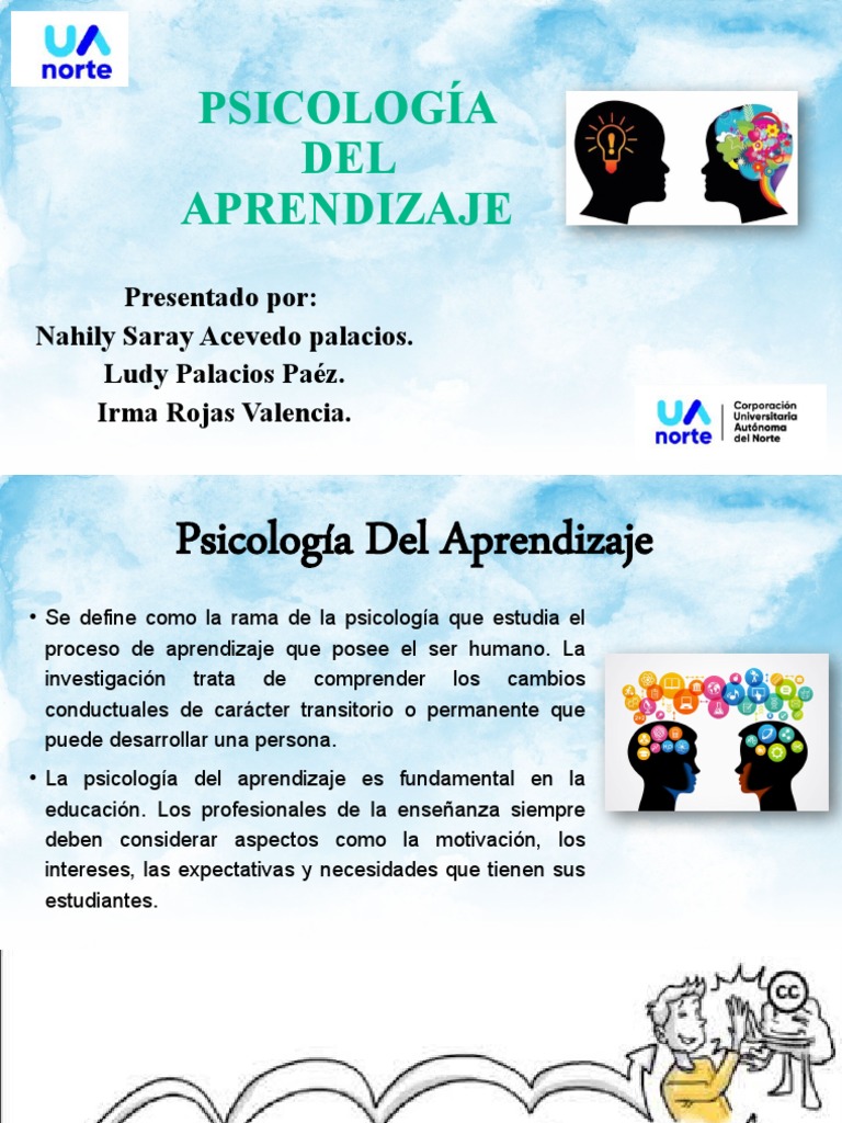 Psicología Del Aprendizaje Pdf Aprendizaje Sicología