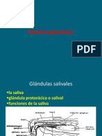 9.Sistema Glandular