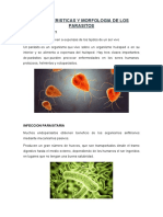 Caracteristicas y Morfologia de Los Parasitos