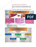 Manejo de medicamentos en pacientes con daño hepático