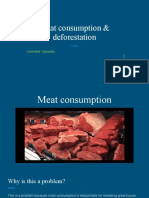 Meat Consumption & Deforestation Project