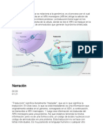 Traducción ARNm proteínas