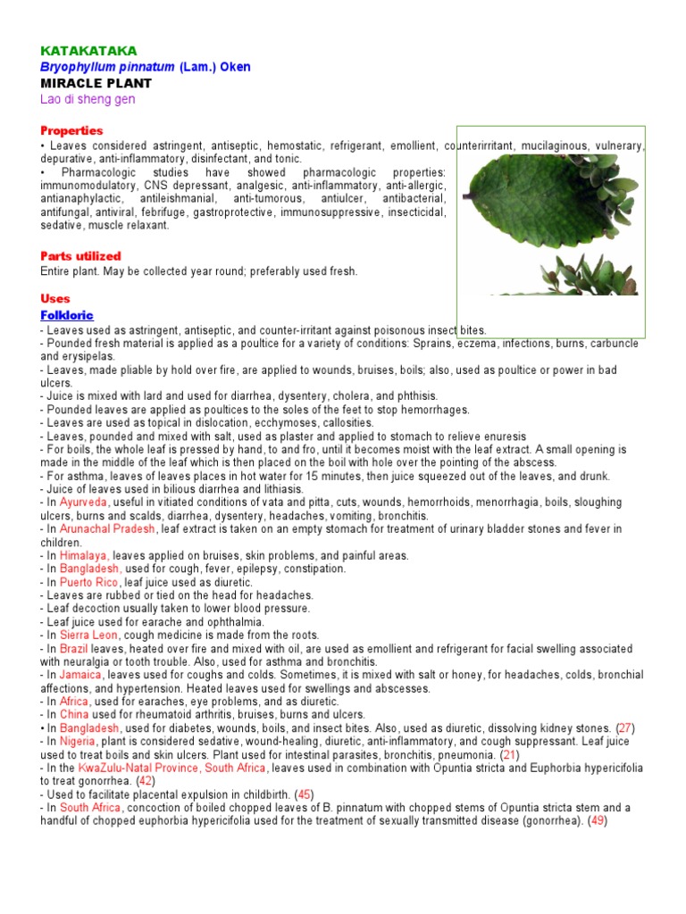 Katakataka | PDF | Cough | Medicine