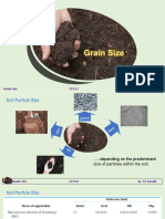 Week 2. CE322 Grain Size