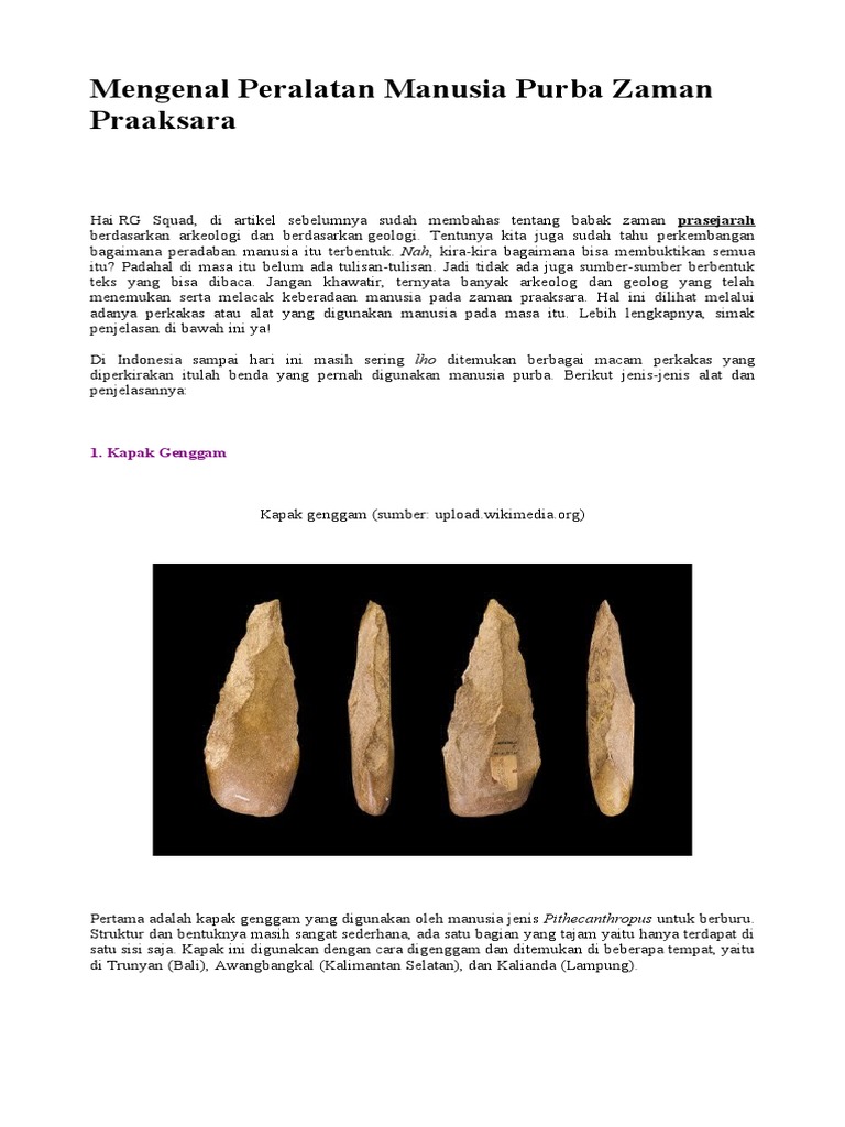 Mengenal Peralatan Manusia Purba Zaman Praaksara | PDF