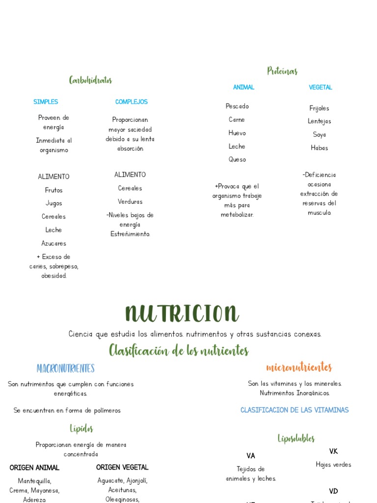 Nutrientes | PDF | Alimentos | Nutrientes
