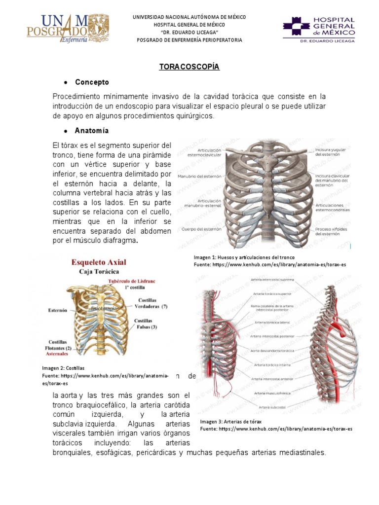 Procedimiento de Toracoscopía Quirúrgica | PDF | Tórax | Especialidades ...