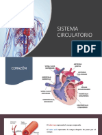 Sistema Circulatorio1