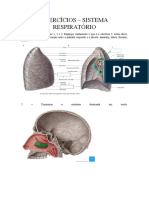 Exercicios Sistema Resp