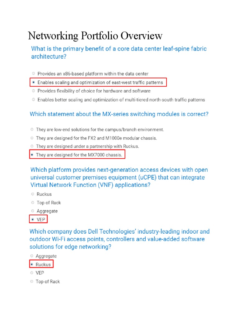 Networking Portfolio Overview PDF