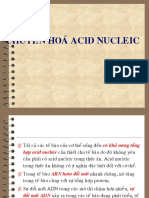 Chuyển Hóa Acid Nucleic