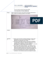 Module 3 - Melendres - Bianca Output