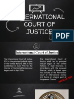 International Court of Justice