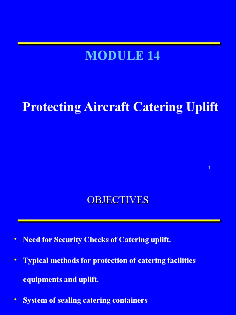 Aircraft Catering Security Measures | PDF | Airport Security | Flight ...