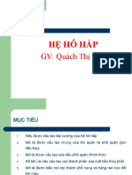 HỆ HÔ HẤP 2017