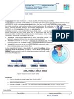 2 - Ficha Informativa - Módulo A4 - Biologia - Ciclo Celular