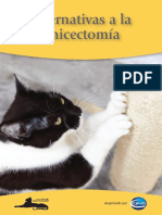 Alternativas A La Onicetomía en Gatos