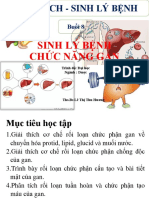 Sinh Lý Bệnh Chức Năng Gan..