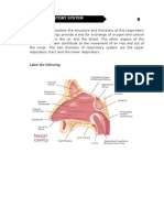 ACHAI DLaboratory Actiivty 9 - Respiratory System