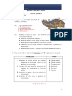 Ficha Revisão 1 - Membrana