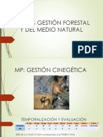 Cfgs Gestión Forestal y Del Medio Natural