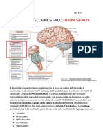 Il Diencefalo Lez N 7 PDF