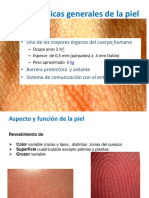 Tema 1 Introducción y Anatomía de La Piel en Podología (1)