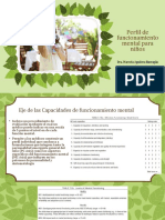 Perfil de funcionamiento mental infantil