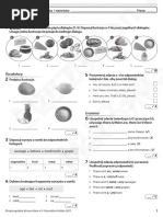 Brainy Kl4 Unit Test 4 A Pdf