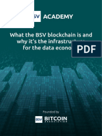 Data Economy BSV Blockchain