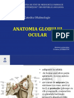 Anatomia_globului_ocular-11839-31335