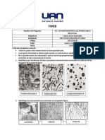 Solucion Taller Microestructuras-Aceros y Fundiciones