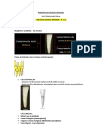 Anatomia dos Incisivos Inferiores