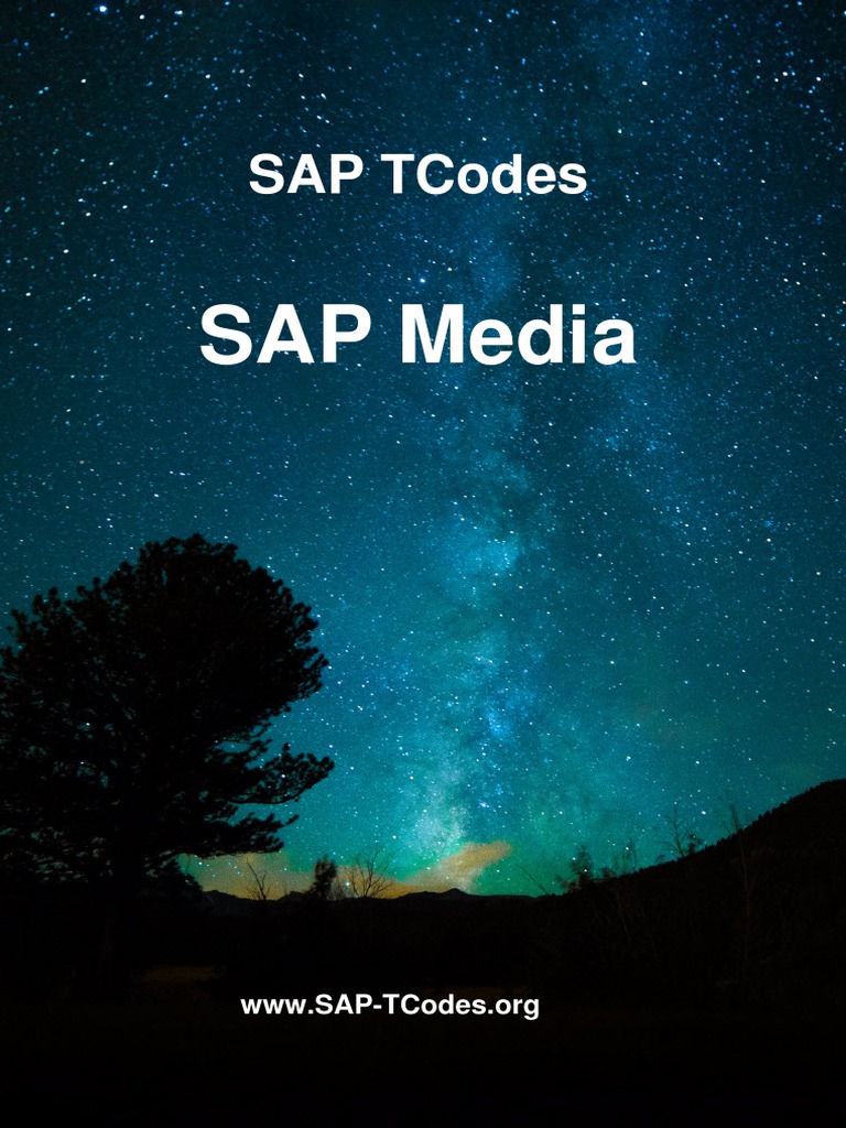sap-t-codes-pdf-analytics-business