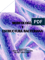 Taller Morfología y Estructura Bacteriana