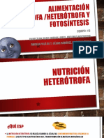Alimentación Autótrofa, Heterótrofa y Fotosíntesis