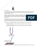 Electroforesis