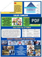 Afiche Riesgos Familiares Semana 5